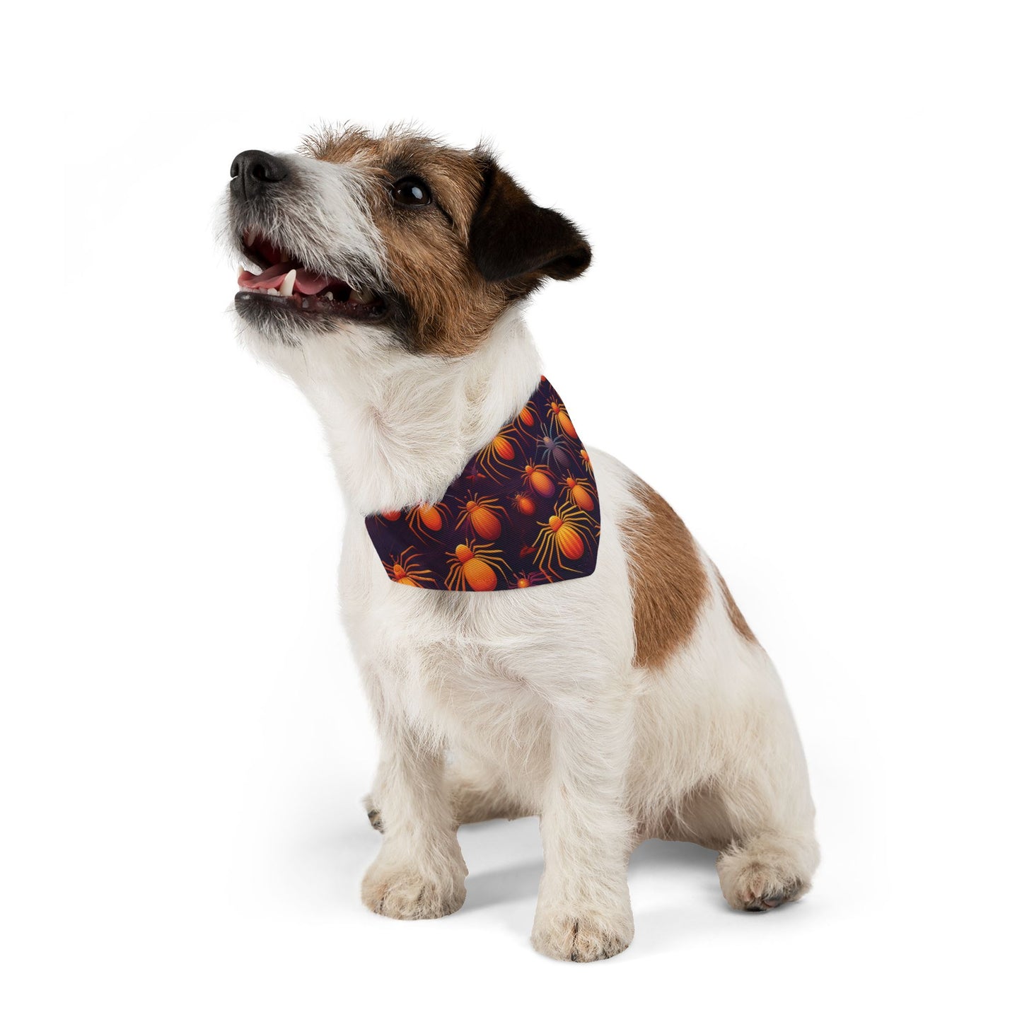 Halloween Pet Bandana Collar - Orange Spider Design