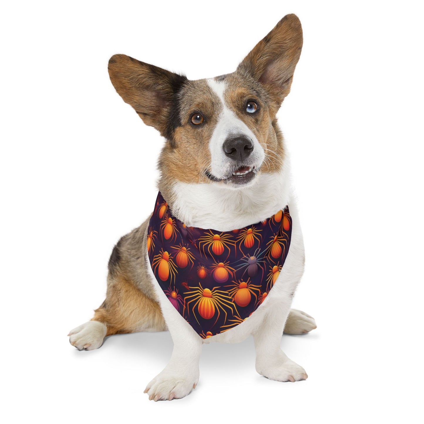 Halloween Pet Bandana Collar - Orange Spider Design