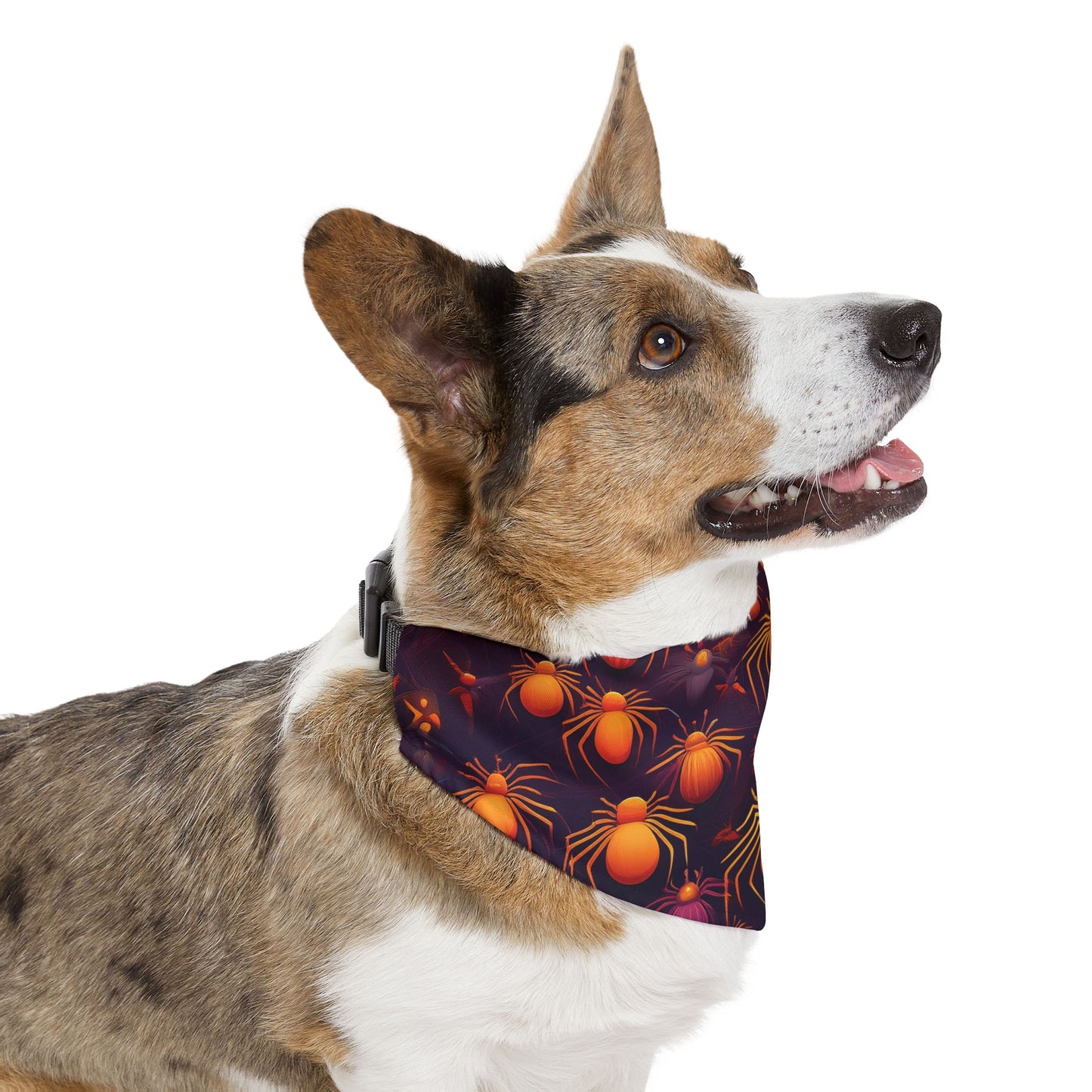 Halloween Pet Bandana Collar - Orange Spider Design